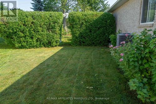 Side yard - 1274 Daprat Avenue, Cornwall, ON 