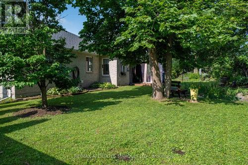 Backyard - 1274 Daprat Avenue, Cornwall, ON 