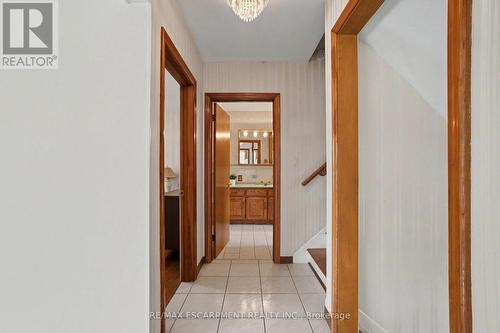 11 Marshall Avenue, Hamilton, ON 