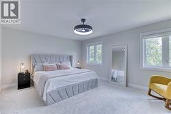 Bright bedroom with plush carpeting and light-toned walls - 