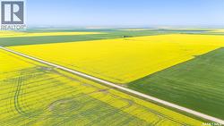 8 Quarters Premium Grainland Near Lewvan (Reimer) Scott Rm No. 98, SK S0G 0S0