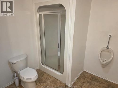 219 Inshes, Chatham, ON - Indoor Photo Showing Bathroom