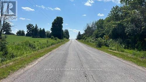 West view of Brown Line at the lot - 2512 Brown Line, Cavan Monaghan (Cavan-Monaghan), ON 