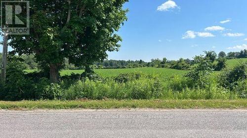 Pretty gently rolling countryside - 2512 Brown Line, Cavan Monaghan (Cavan-Monaghan), ON 
