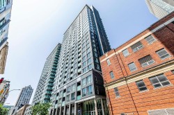 Face arrière - 