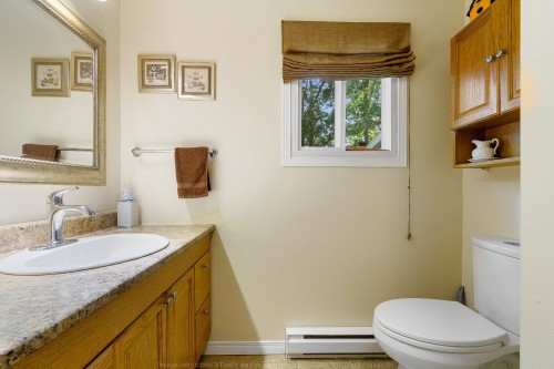 Bathroom - 68 Ch. Stephens, Otter Lake, QC - Indoor Photo Showing Bathroom