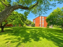 Courtyard - 