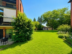 Lot - 
