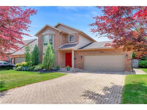 441 Baldoon Road, Chatham, ON 