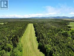 0 Block Road  Searston, NL A0N 1J0