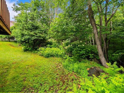 17 Forward Avenue, Halifax, NS 