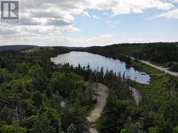 Close to Pond - 