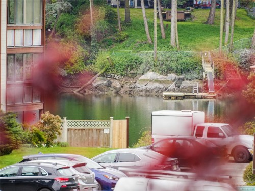 #204-76 Gorge Rd West, Saanich, BC - Outdoor