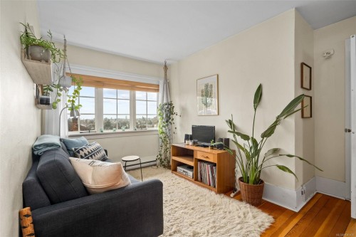 337 Moss St, Victoria, BC 