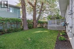 Back Yard - 