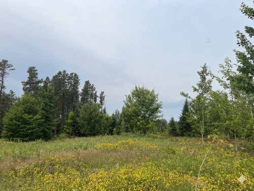 Terre/Terrain - Av. Du Collège, Saint-Benjamin, QC 
