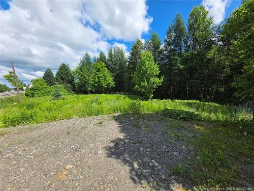 101 Isidore-Boucher Blvd, Saint-Jacques, NB 