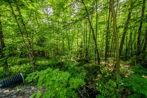 Lot - Ch. Jackson, Wentworth-Nord, QC 