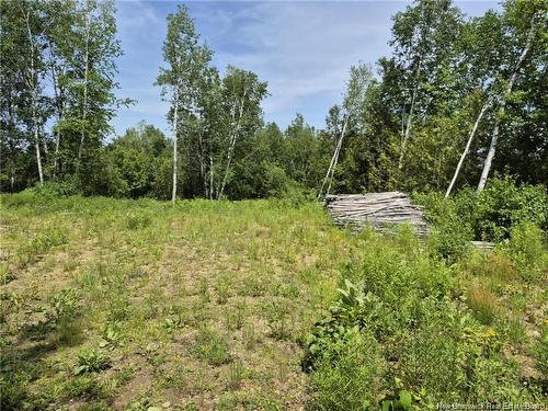 1 Acres Rue Amos, Sainte-Anne, NB 