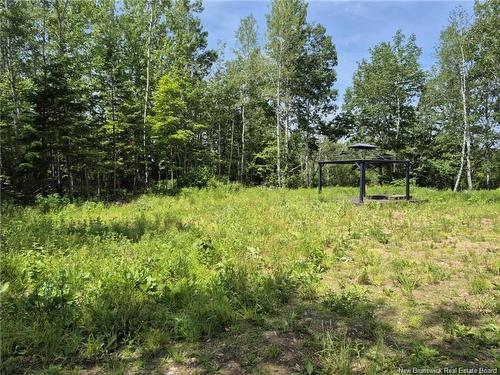 1 Acres Rue Amos, Sainte-Anne, NB 
