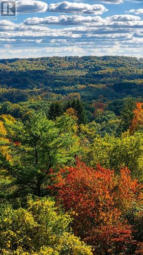 50 Oak Avenue, Hamilton, ON - Outdoor With View