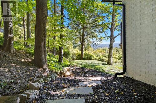 50 Oak Avenue, Hamilton, ON - Outdoor With View