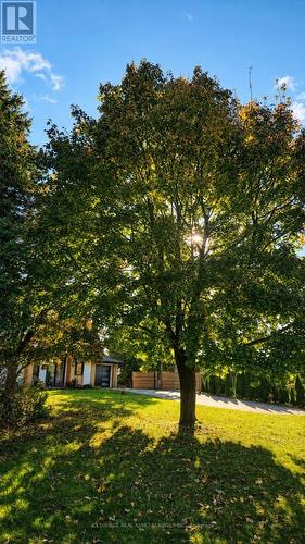 50 Oak Avenue, Hamilton, ON - Outdoor