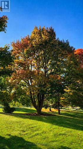 50 Oak Avenue, Hamilton, ON - Outdoor With View