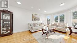 Living With Skylight - 