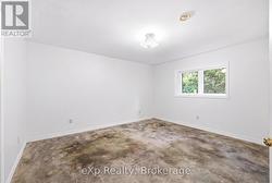 Lower Level Bedroom #1 - 
