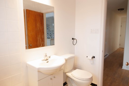 Bathroom - 748 Av. Alepin, Montréal (Lasalle), QC - Indoor Photo Showing Bathroom
