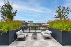 Terrasse - 