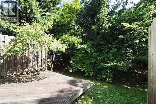 Expansive wood deck with mature trees, established shrubs, a partial wood fence, and natural landscaping - 619 Wild Ginger Avenue Unit# H47, Waterloo, ON - Outdoor
