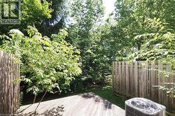 Outdoor wooden deck with privacy fencing, surrounded by mature trees and lush greenery - 