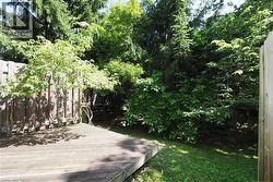Expansive wood deck with mature trees, established shrubs, a partial wood fence, and natural landscaping - 