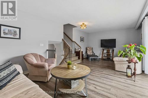 41 Winterfold Dr Drive, Brampton, ON 