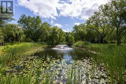 Pond with Water Feature and Oxygenating Windmill - 