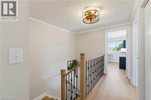 Upper-level hallway featuring light wood-finish flooring, a contemporary ceiling light fixture, crown molding, and a light wood and wrought iron staircase railing - 520 Mayflower Street, Waterloo, ON - Indoor Photo Showing Other Room