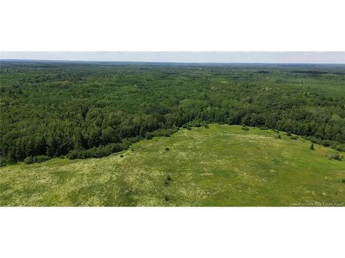 114.9 Acres Little River Dr, Bathurst, NB 