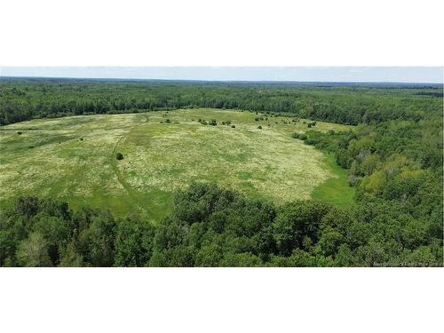 114.9 Acres Little River Dr, Bathurst, NB 