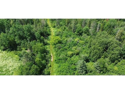 114.9 Acres Little River Dr, Bathurst, NB 