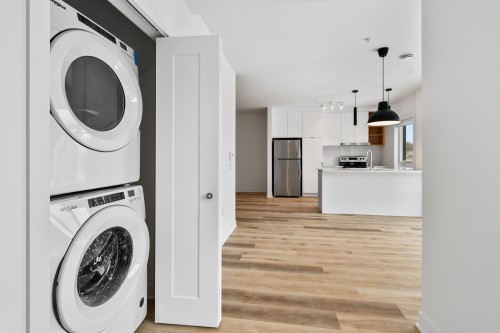 Salle de lavage - 311-2121 Av. Papineau, Montréal (Ville-Marie), QC - Indoor Photo Showing Laundry Room