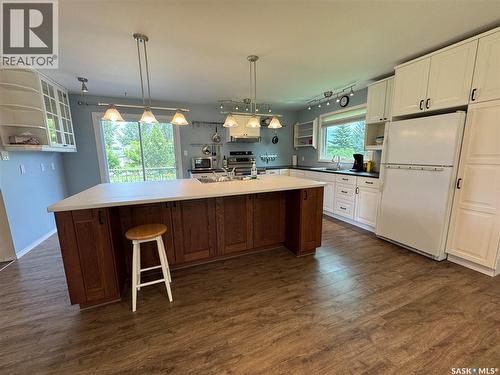 207 3Rd Avenue E, Scott, SK - Indoor Photo Showing Kitchen