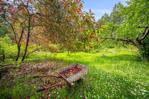 9510 Mcfarlane Rd, Denman Island, BC 