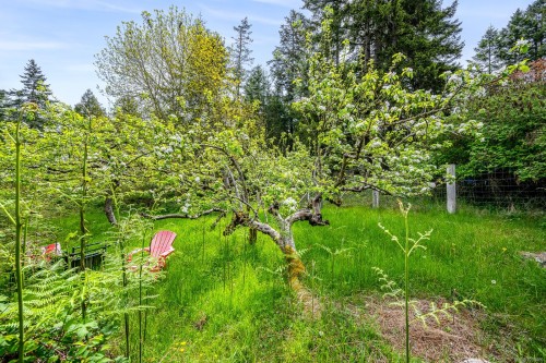 9510 Mcfarlane Rd, Denman Island, BC 