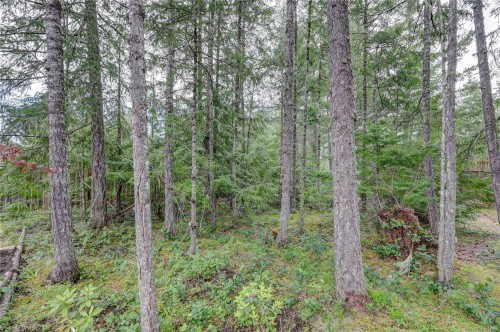 1868 Galvin Pl, Qualicum Beach, BC 
