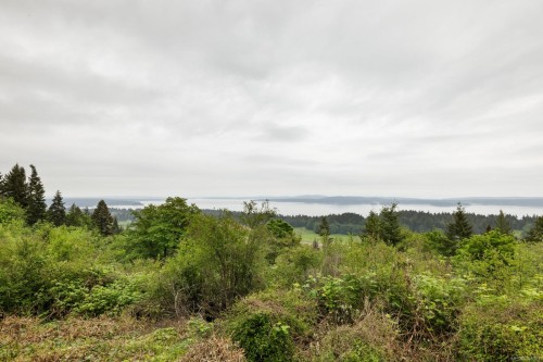 9911 Panorama Ridge Rd, Chemainus, BC 