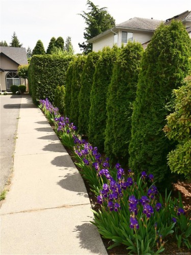 5543 Turner Rd, Nanaimo, BC 