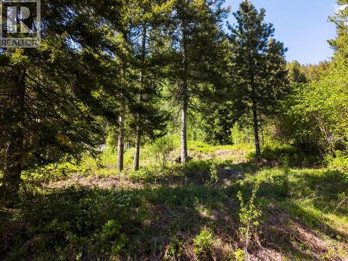 Lot C Woodland Drive, Taghum, BC 