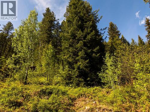 Lot C Woodland Drive, Taghum, BC 